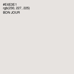 #E6E3E1 - Bon Jour Color Image
